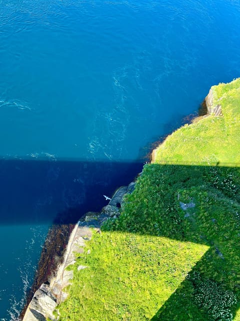 Saltstraumen: Arctic Adventure and Scenic Journey - Snacks, photos, and the human side of the stop