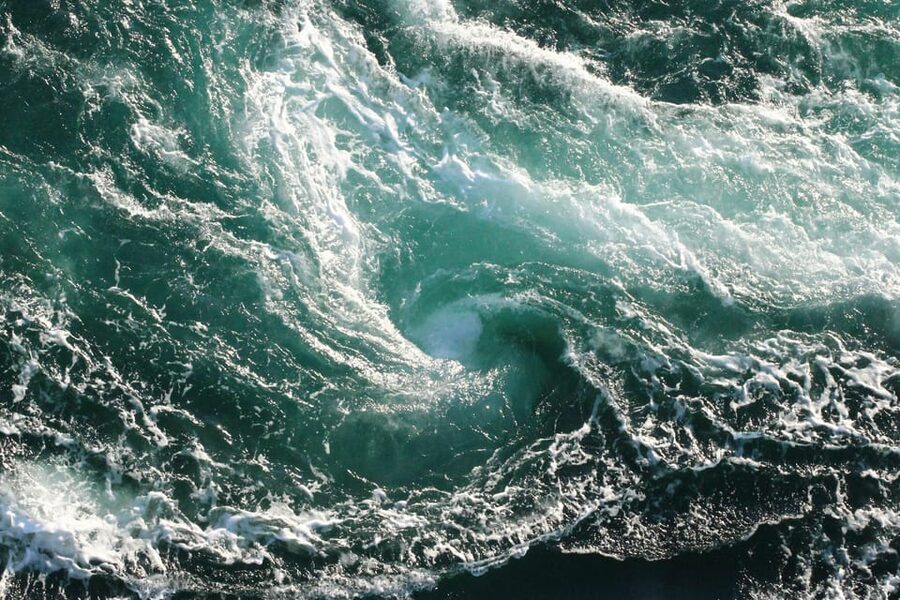 Saltstraumen: Arctic Adventure and Scenic Journey - What the $206 group price really buys