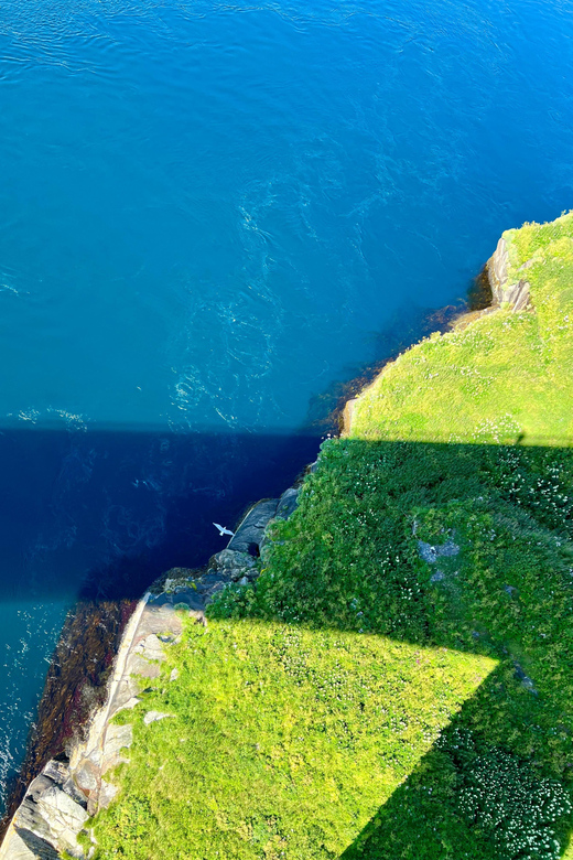 Saltstraumen: Arctic Adventure and Scenic Journey - Should you book Saltstraumen with Seas & Peaks?