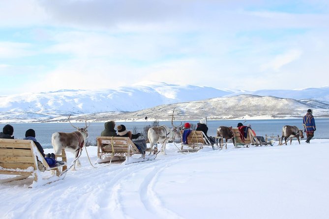 Sami Culture and Short Reindeer Sledding from Tromso - Key points at a glance