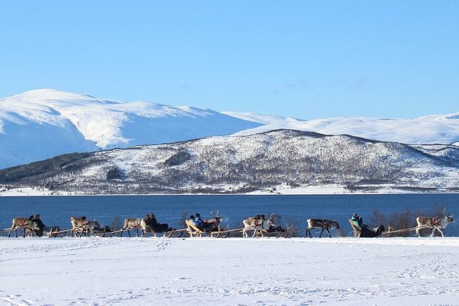 Sami Culture and Short Reindeer Sledding from Tromso - Hearing Sami stories and a live joik