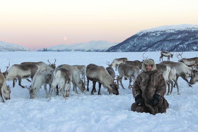 Sami Culture and Short Reindeer Sledding from Tromso - Weather, cancellations, and what can change