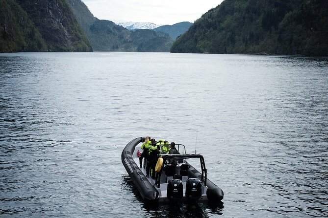 Scenic RIB adventure to Hardangerfjord & Fyksesund from Øystese - Speed, Comfort, and the Small-Group Advantage