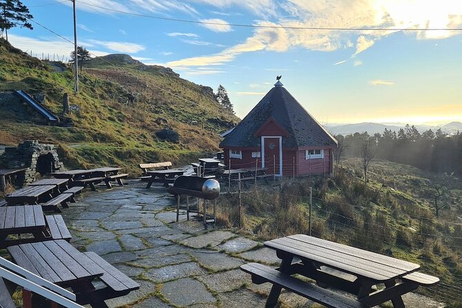 Scenic tour to Steinsfjellet, locals at Kringsjå & Rising Tide - Why this three-hour outing feels different