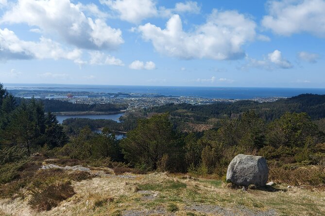 Scenic tour to Steinsfjellet, locals at Kringsjå & Rising Tide - Sheep, goats, Lissie, and the farm animals