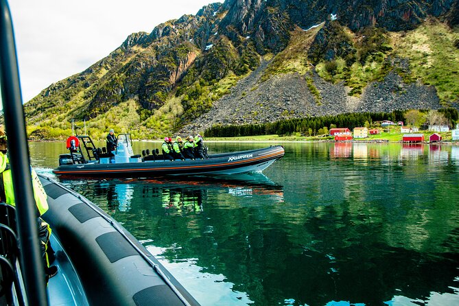 Sea Eagle Safari from Svolvær to Trollfjorden - Is $156.56 a Fair Price?