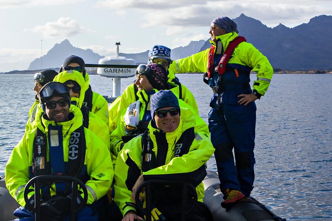 Sea Eagle Safari from Svolvær to Trollfjorden - What the Two Hours Feel Like