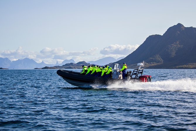 Sea Eagle Safari from Svolvær to Trollfjorden - Thermal Suits Help, But Pack for Rain