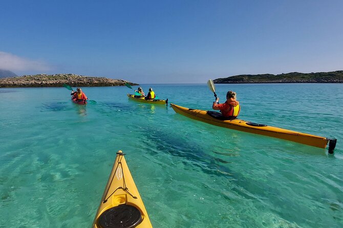 Sea Kayak Guided Tours on Skrova Island - Wildlife on the water
