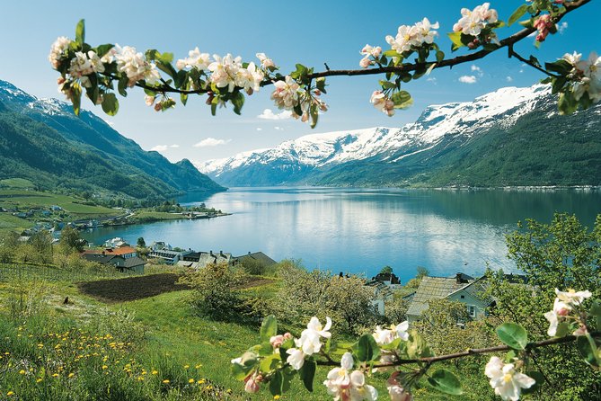 Self-Guided 22-Hour Round Trip From Oslo To Sognefjord With Flåm Railway - A short evening in Bergen