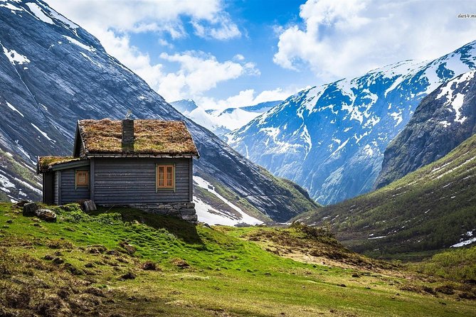 Self-Guided Full Day: Bergen To Oslo with Sognefjord cruise (5h) - Myrdal to Oslo by train