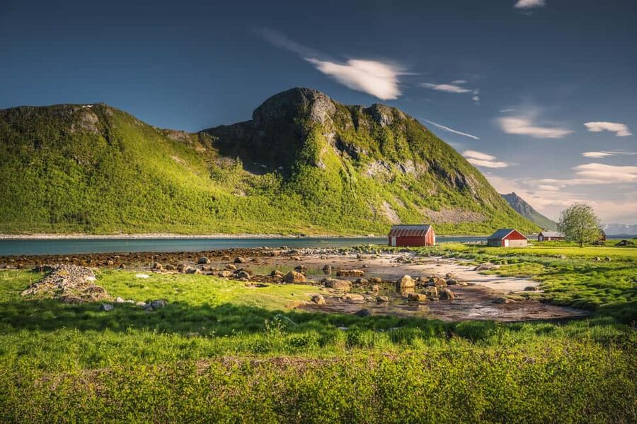 Senja: Guided Tour around Senja - Finnsnes Kai to the First Arctic Views