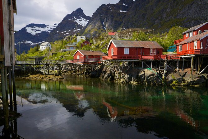 Shore Excursion Full day Private Tour in Lofoten - What the private format is worth