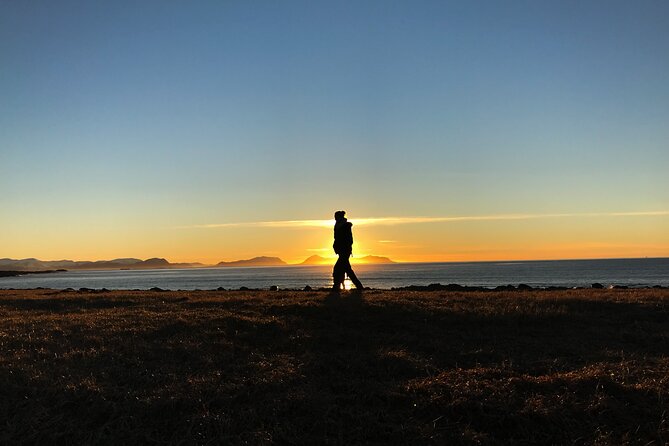 Shore Excursions Ålesund: Highlights Ålesund & Islands - Mount Aksla without the 418 steps