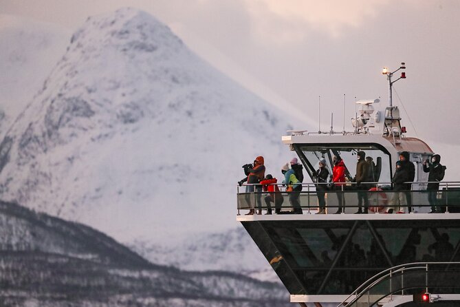 Silent Whale Watching by Hybrid-Electric Boat from Tromsø - Why the hybrid-electric boat matters