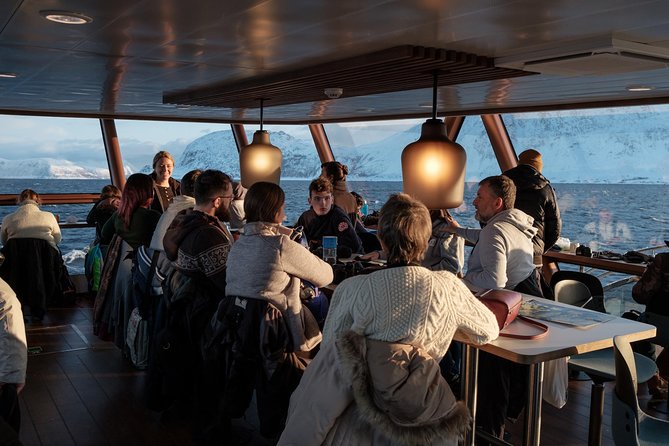 Silent Whale Watching by Hybrid-Electric Boat from Tromsø - Is $214.85 good value?