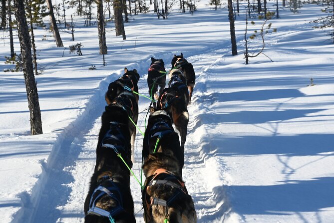 Sit Back and Relax Morning Husky Tour - Leaving Kiruna for the husky kennel