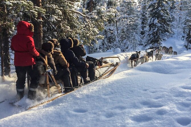 Sit Down Husky Ride Dog Sled Tour in Kiruna - Twelve Huskies, One Sled, and a Quiet Route From Kiruna