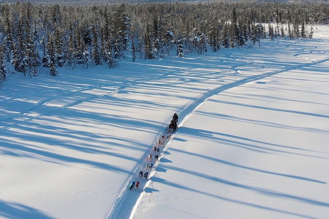 Sit Down Husky Ride Dog Sled Tour in Kiruna - Weather, Cancellations, and Sensible Planning