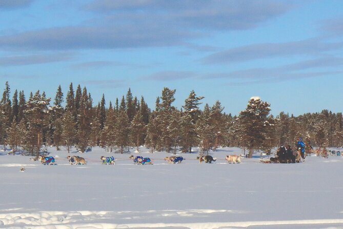Sit Down Husky Ride Dog Sled Tour in Kiruna - Changing Into Arctic Gear at Kurravaara