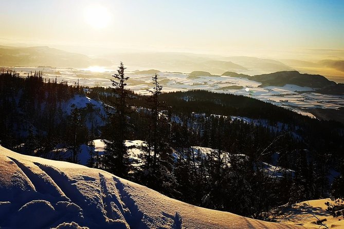 Skiing in winter wonderland - Leaving Trondheim for the forest