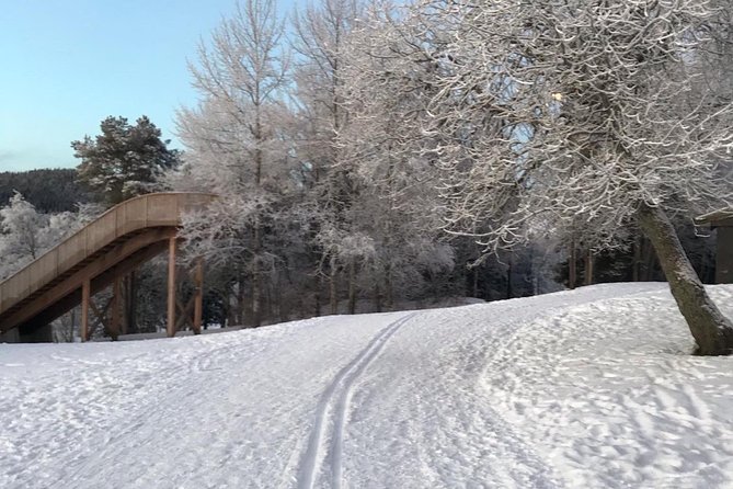 Skiing in winter wonderland - Is $232.82 a fair price?