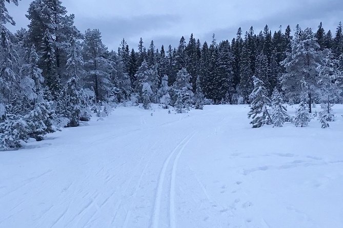 Skiing in winter wonderland - Timing, cancellation, and basic planning