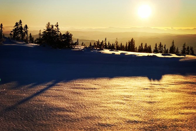 Skiing in winter wonderland - Skiing among Trondheim’s snowy trees
