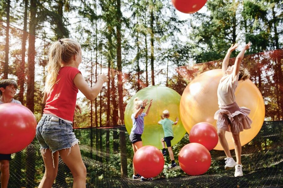 Skjern: WOW PARK Entry Ticket - A forest park where you make the plan