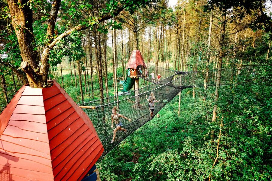 Skjern: WOW PARK Entry Ticket - Tarzan swings and high-hanging challenges