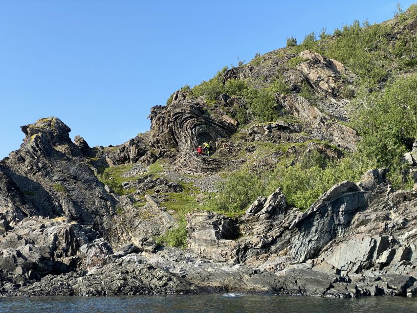 Skjervøy: Birds and Wildlife of Arctic Norway - Key points at a glance
