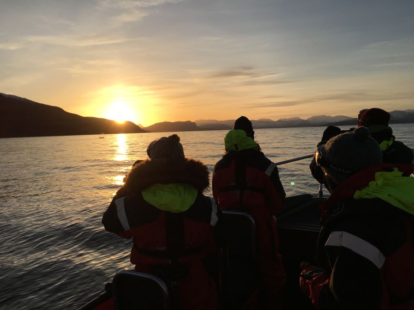 Skjervøy: Birds and Wildlife of Arctic Norway - Spring and summer turn the fjords into a bird watch