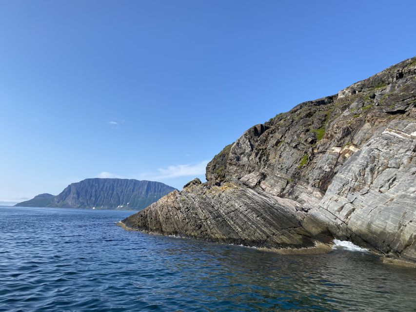 Skjervøy: Birds and Wildlife of Arctic Norway - Local stories add meaning to the wildlife