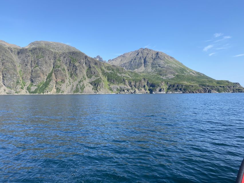 Skjervøy: Birds and Wildlife of Arctic Norway - Is $165 a fair price?