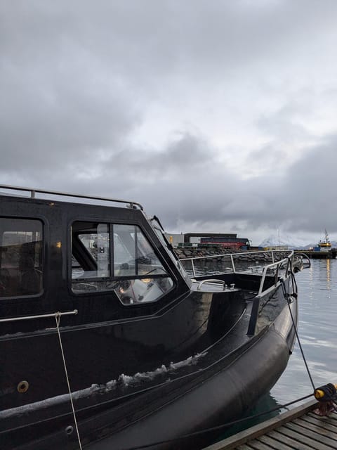 Skjervøy: Orca and Whale-Watching comfort heated Boat Trip - Searching the Barents Sea for orcas and humpbacks