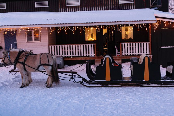 Sleigh Ride w/ snacks - Experience Arctic Farm Life - Key points at a glance