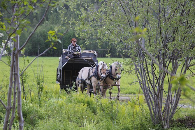 Sleigh Ride w/ snacks - Experience Arctic Farm Life - Inside the lavvu: coffee, fire, and homemade food