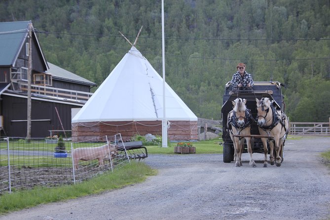 Sleigh Ride w/ snacks - Experience Arctic Farm Life - Why the private format changes the experience
