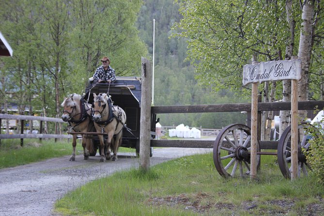 Sleigh Ride w/ snacks - Experience Arctic Farm Life - Who should book this Alta farm experience?