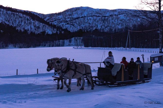 Sleigh Ride w/ Tapas Meal - Experience Arctic Farm Life - Who will enjoy this Alta farm experience