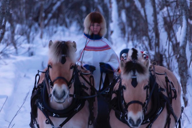 Sleigh Ride w/ Tapas Meal - Experience Arctic Farm Life - Inside the lavvo, Arctic food by the fire