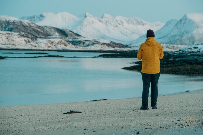 Small Group Arctic Fjords Road trip with Scenic Picnic - The 9:30 am start from Tromsø’s old center