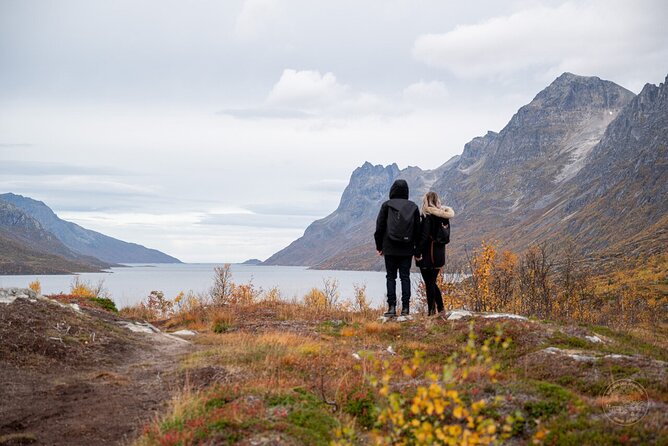 Small Group Arctic Fjords Road trip with Scenic Picnic - Wildlife watching without a promise