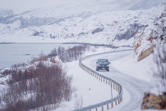 Small Group Arctic Fjords Road trip with Scenic Picnic - Who will enjoy this road trip most?