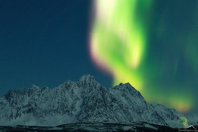 Small-Group Northern Lights Tour from Tromso with Photos - Chasing clear skies from Tromso