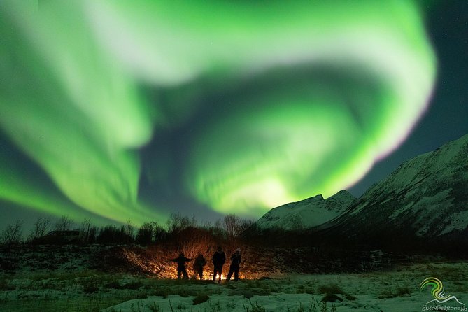 Small-Group Northern Lights Tour from Tromso with Photos - Photography help for your aurora pictures