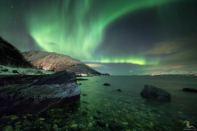 Small-Group Northern Lights Tour from Tromso with Photos - Who should book this Tromso aurora tour?