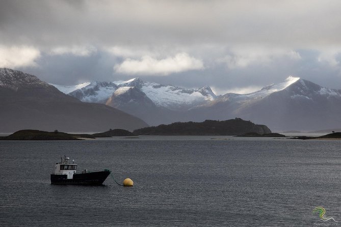 Small-Group Norwegian Fjords Tour from Tromso with Photos - Leaving Tromsø for the fjords