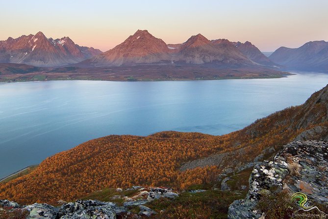 Small-Group Norwegian Fjords Tour from Tromso with Photos - A flexible route with room for extra photo stops
