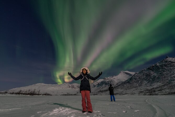 Small Group Tromsø: Northern Lights Chase with Photos and Dinner - Is $237.32 good value for seven hours?